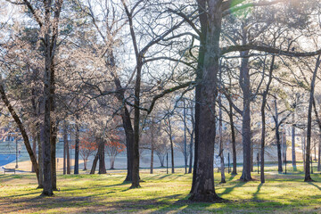 Sunny view of the campus of University of Arkansas