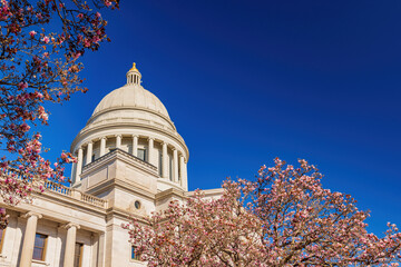 Sunny view of the State Capitol building with Magnolia blossom
