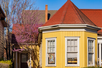Close up shot of eastern redbud blossom in front of a cute historical house