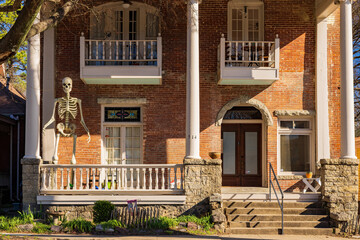 Sunny view of a cute historical house with a huge skeleton model