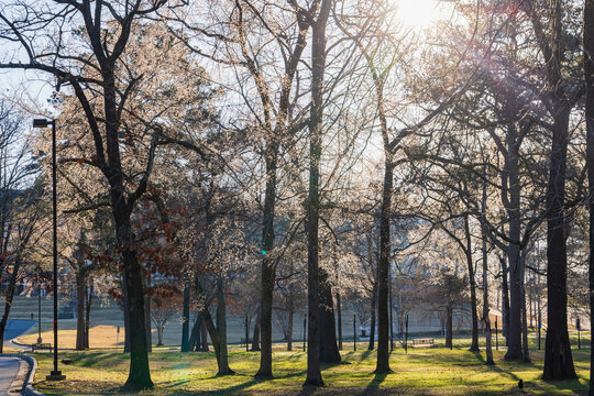 Sunny View Of The Campus Of University Of Arkansas