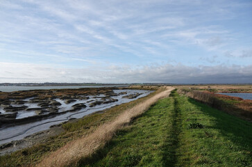 A scenic view along a grassy footpath through the marshland at Old Hall Marshes, Essex, UK. 
