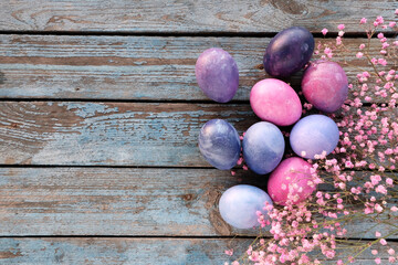 Eggs are pink, purple, lilac on a wooden blue background. Easter concept in April. Festive decor, postcard. Close-up.