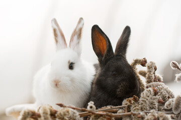 Pair of fluffy rabbits with willow
