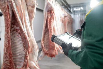 close-up of meat processing in the food industry, the worker cuts raw pig, storage in refrigerator,...