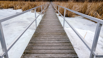 Fototapeta premium Looking from this bridge signs of spring shows