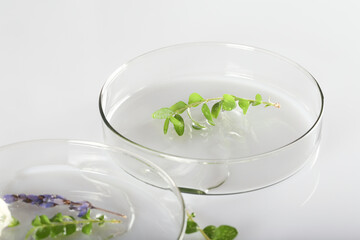 Laboratory utensils and facial serum on a white background. Alternative medicine, cosmetic research. Skin care. Dermatology.