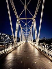 Japan Night Bridge 日本 夜 橋