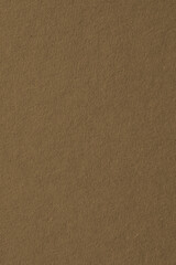 The surface of brown cardboard. Paper texture with cellulose fibers. Vertical paperboard backdrop....