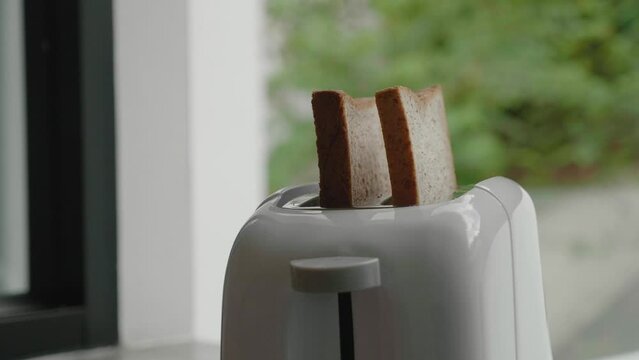 beige toaster with two pieces of bread. toaster in Kitchen Making Toasts
