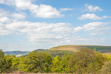 Fototapeta premium Summertime scenery along Hergest ridge in the UK.