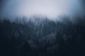 Fototapete Schwarz Verschneiter Wald in Bayern, Deutschland im Winter an einem nebligen Abend