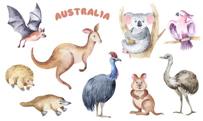 Watercolor illustration of Australian cartoon animals. Australian children's illustrations. Children's illustrations of animals.