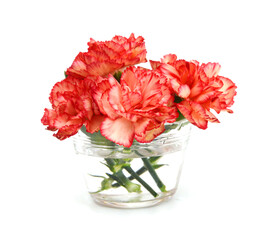 Stack Carnation flowers on white background