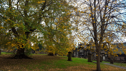 Graves and trees at cemetery park.Selective Focus. Autumn.Noise Effect