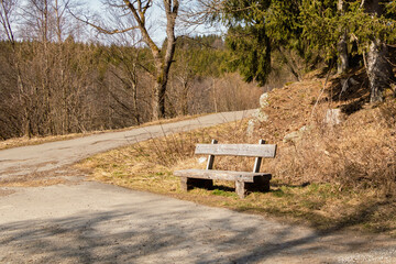 A sunny day for hiking in the forest