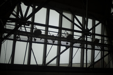 Skylight. Steel structures on ceiling. Window openings in roof of building.