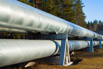 pipeline, in the photo pipeline close-up against a background of green forest and blue sky.