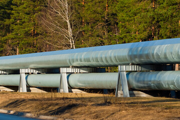 pipeline, in the photo the pipeline is a close-up in the background of a green forest.