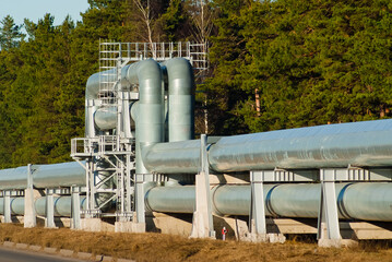 Fototapeta na wymiar pipeline, in the photo the pipeline is a close-up in the background of a green forest.
