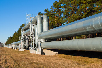 pipeline, in the photo pipeline close-up against a background of green forest and blue sky.