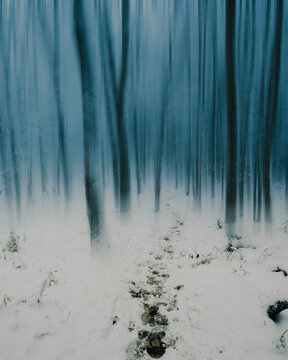 Beautiful shot of a frozen forest in winter in Leonding Linz