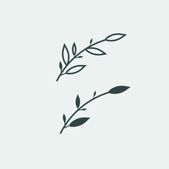 Olive branch icon