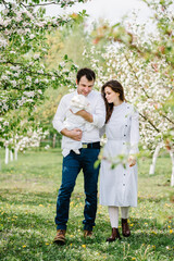 Young beautiful family with baby child hugging each other in blossoming apple garden. Happy parents spending time together, outside, on vacation, outdoors. The concept of family holiday.