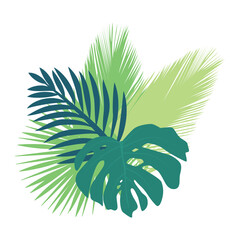 palm leaves