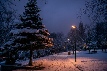 Snowy park under street lamp 