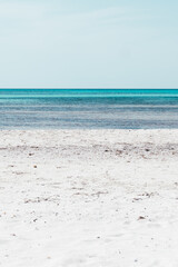 Vertical photo of a Paradise beach with copy space