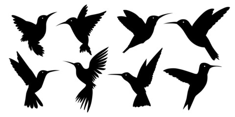 Vector silhouette hummingbird with white background