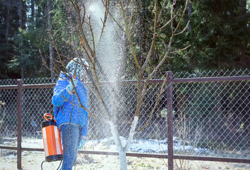 Spraying fruit trees. Spring processing of agricultural land from pests