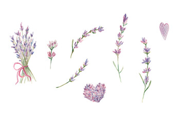 Watercolor lavender set. Lavender branches and hearts. Gentle field flowers. Provence. Watercolor lavender illustration. Floral set. Design with flowers for logo, banner, packing, cards, gifts, ads
