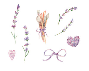 Watercolor lavender set. Lavender branches and brushes. Gentle field flowers. Provence. Watercolor lavender illustration. Art Floral set. Design with flowers for artist, logo, banner, packing, cards