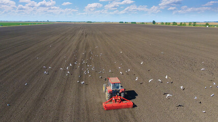 Tractor planting crops, aerial view - Drone shot of tractor seeding crops on agricultural field, gulls and other birds flying around