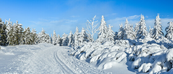 Winter landscape in the mountains, snow-covered forest on the mountain hiking trail, view on a sunny day.