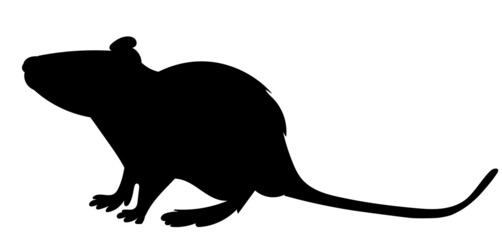 mouse, rat black silhouette isolated vector