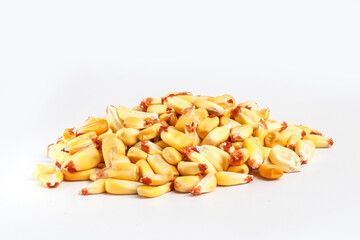 Granos de maíz seco orgánico sobre un fondo blanco