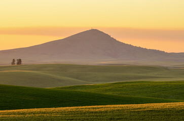 Rolling crop fields at sunset - Washington State - 495008597