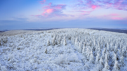 Winter landscape in the mountains at sunset, snow-capped mountain peaks and forest, the view from the observation tower.