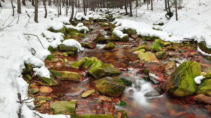 A mountain river in the forest in winter, calm water flows along the river bed with stones covered...