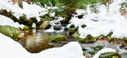 Naklejka na ściany i meble A mountain river in the forest in winter, calm water flows along the river bed with stones covered with green moss.