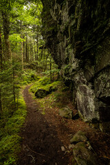 Large Cliff And Mossy Forest Near Mount Sterling