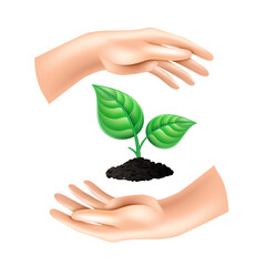 Hand open palm holds the sprout. The concept of ecology of conservation and growth.