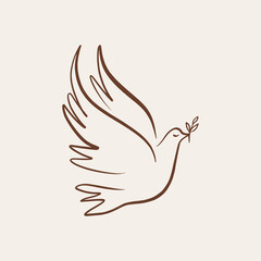 Dove of peace pigeon bird boho handdrawn style vector illustration art