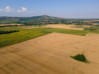 Fototapeta na wymiar Aerial view of sunflower field near village of Boshulya, Bulgaria