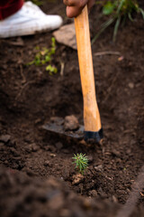 Repoblacion de arboles, educacion ambiental, colegio herramienta