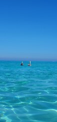 Naklejka premium boat in the ocean