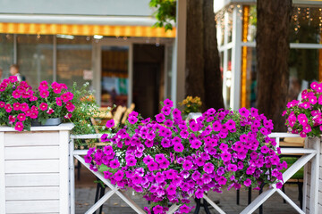 Fototapeta na wymiar Restaurant decorated blooming garden flowers